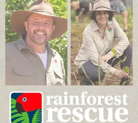 rainforest-rescue-FSL_523x528